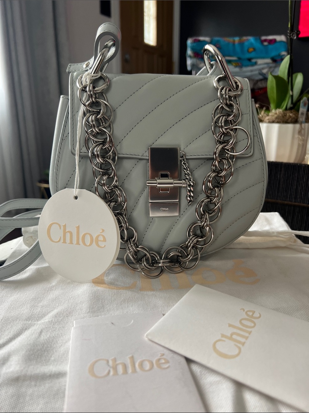 Chloé Chloe  Drew Bijou Shoulder Bag in Light Gray